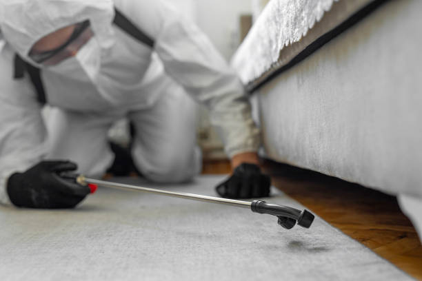Professional Termite Control technician working in Rosedale, WA