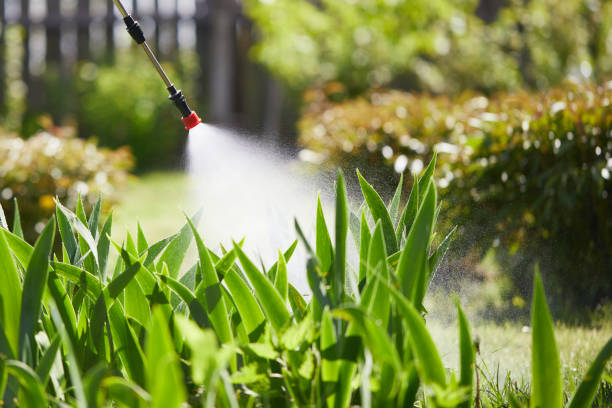 24/7 Emergency Termite Control experts in Rosedale, WA